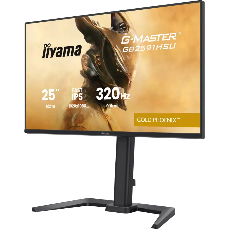 Gaming-Monitor IIYAMA G-Master GB2591HSU-B1 24,5 Zoll (68,6 cm) Full HD – HDMI/DisplayPort/USB, Schwarz