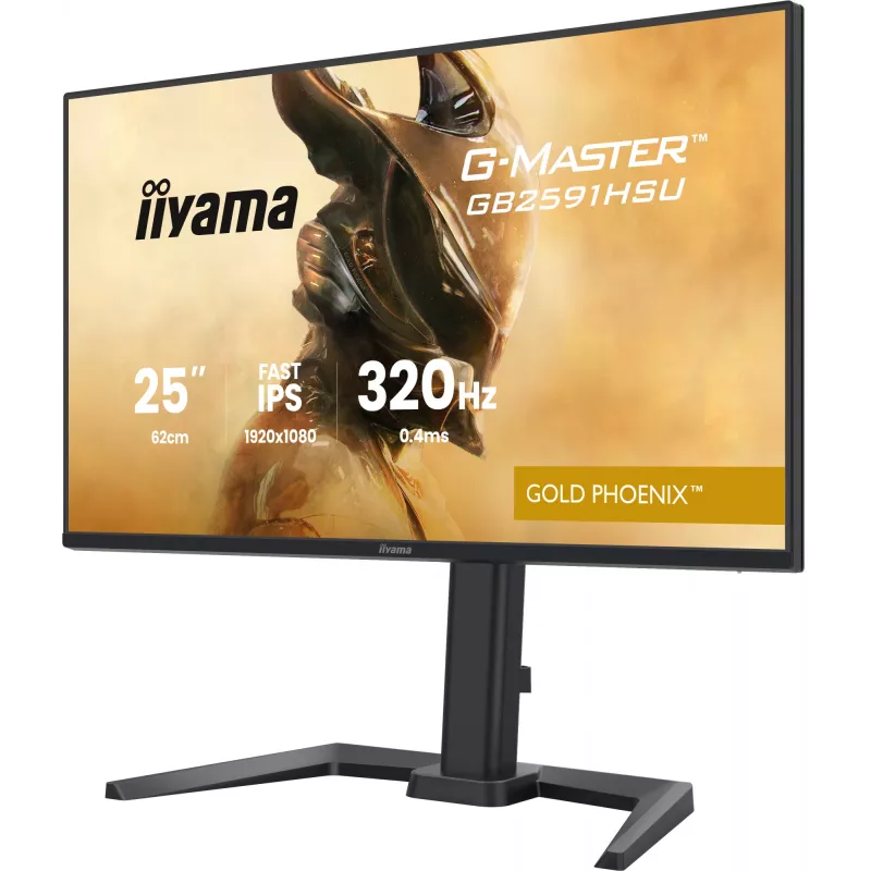 Gaming-Monitor IIYAMA G-Master GB2591HSU-B1 24,5 Zoll (68,6 cm) Full HD – HDMI/DisplayPort/USB, Schwarz
