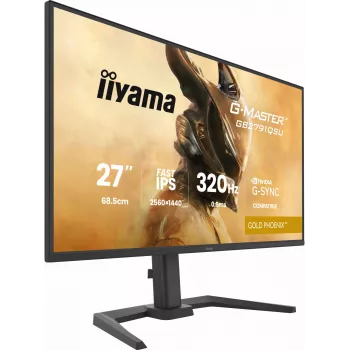 Gaming-Monitor IIYAMA GB2791QSU-B1 68,6 cm (27 Zoll) QHD mit HDMI, DisplayPort und USB, schwarz