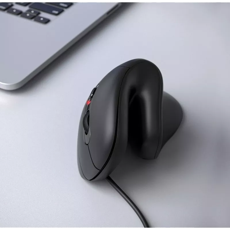 Equip 245119 Maus Universal Rechtshändig USB Typ-A + USB Typ-C Optisch 7200 DPI