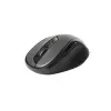 Maus Rapoo M500 Silent Rechtshänder RF Wireless Bluetooth Optisch