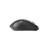 Maus Rapoo M500 Silent Rechtshänder RF Wireless Bluetooth Optisch