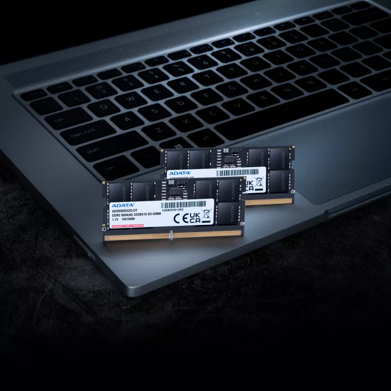Laptop-Arbeitsspeichermodul ADATA AD5S560048G-S 48 GB DDR5 5600 MT/s 262-Pin SO-DIMM CAS46 1,1 V Schwarz