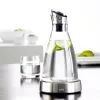 EMSA 505219 Karaffe/Krug/Flasche 1 L Edelstahl, Transparent