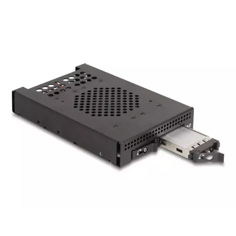 HDD Cage DeLOCK 47070 Rack-kompatibel Metall 100 mm Breite