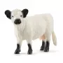 Schleich Galloway-Kuh 13960 Schwarz-Weiß Empfohlenes Alter 3+