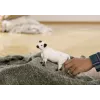 Schleich Galloway-Kuh 13960 Schwarz-Weiß Empfohlenes Alter 3+