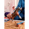 schleich HORSE CLUB Hannahs Western-Abenteuer, 5 Jahr(e), Pferde, Mehrfarbig, Kunststoff