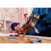 schleich HORSE CLUB Hannahs Western-Abenteuer, 5 Jahr(e), Pferde, Mehrfarbig, Kunststoff