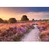 Puzzle Ravensburger Pink Pathway Niederlande, 1000 Teile, 700×? mm, 2 mm dick