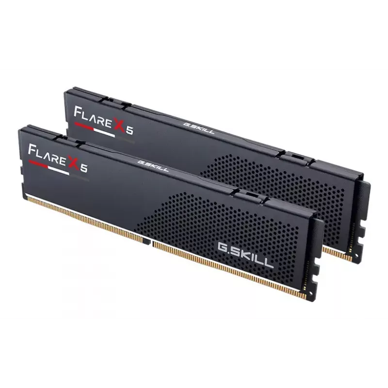 Desktop-DDR5-Speicher G.SKILL Flare X5 F5-5600J3636C8GH2-FX5 16 GB (2×8 GB) 5600 MT/s 288-Pin DIMM CAS 36