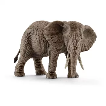 schleich WILD LIFE Afrikanischer Elefant, weiblich, 3 Jahr(e), Safari, Wildtiere / Abenteuerspielzeug, Mehrfarbig, Kunststoff, 1 Stk.