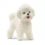 schleich Bichon Frisé, 3 Jahr(e), Hunde, Bauernhoftiere / Bauernhofspielzeug, Weiß, Kunststoff