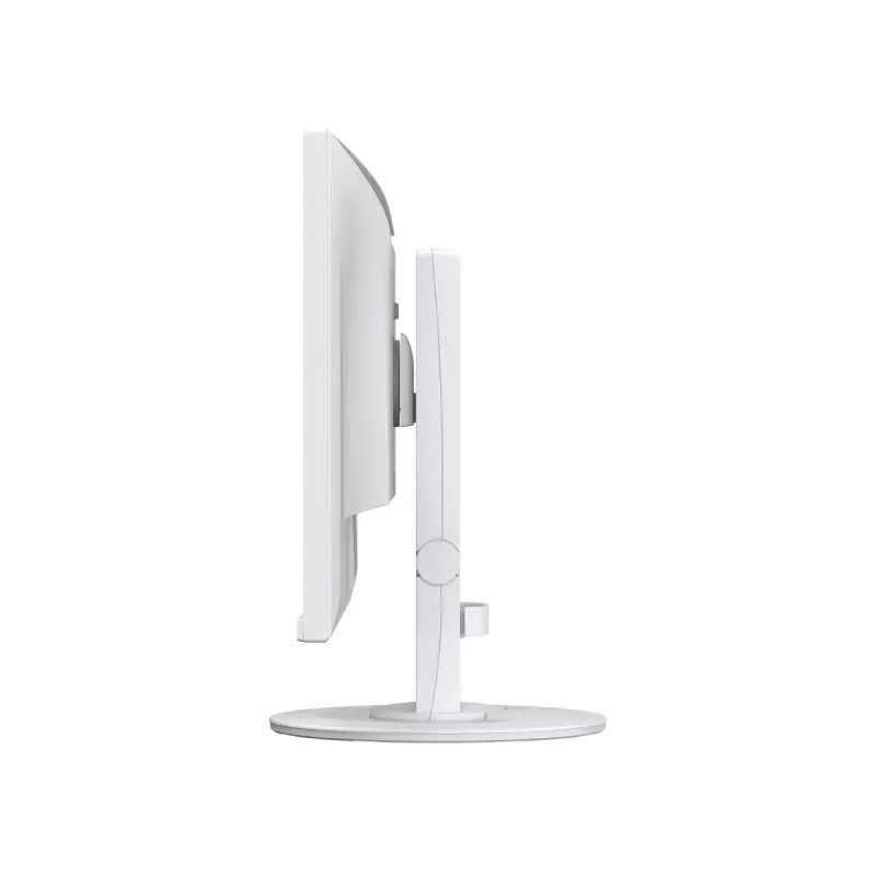 Computermonitor EIZO FlexScan EV2400R-WT — 23,8 Zoll (60,5 cm) Full HD IPS, 1920×1080, 5 ms, USB-Hub, Lautsprecher, höhenverstellbar, VESA, weiß