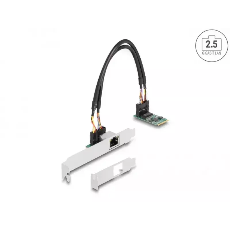 DeLOCK 95272 Interne Netzwerkkarte 2500 Mbit/s Kabelgebunden M.2 Ethernet