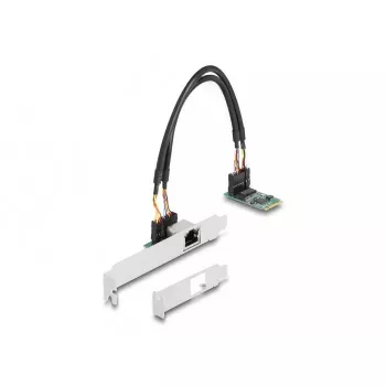 DeLOCK 95272 Interne Netzwerkkarte 2500 Mbit/s Kabelgebunden M.2 Ethernet
