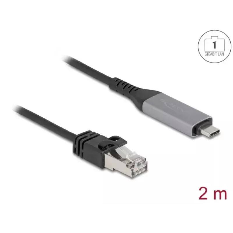 USB-Type-C-auf-RJ45-Gigabit-Ethernet-Kabel DELOCK 2 m Cat6 Anthrazit/Schwarz