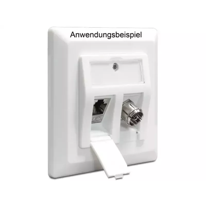 Unterputzdose DeLOCK 86202