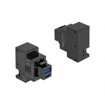 DELOCK Keystone-Modul 41482 mit USB-C- und USB-A-Anschlüssen, flach, schwarz