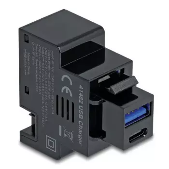 DELOCK Keystone-Modul 41482 mit USB-C- und USB-A-Anschlüssen, flach, schwarz