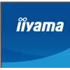 27 Zoll IIYAMA ProLite XB2797QSU-W1 IPS Quad HD (2560x1440) LED-Monitor, 178° Betrachtungswinkel, USB 3.2 Hub, Lautsprecher, VESA, höhenverstellbar, weiß