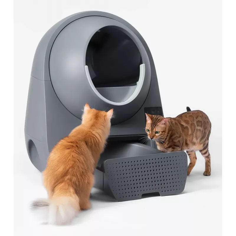 Selbstreinigende Katzen-Toilette Catlink Pro-X Luxury — 65 L Kapazität, Grau, 580×600 mm