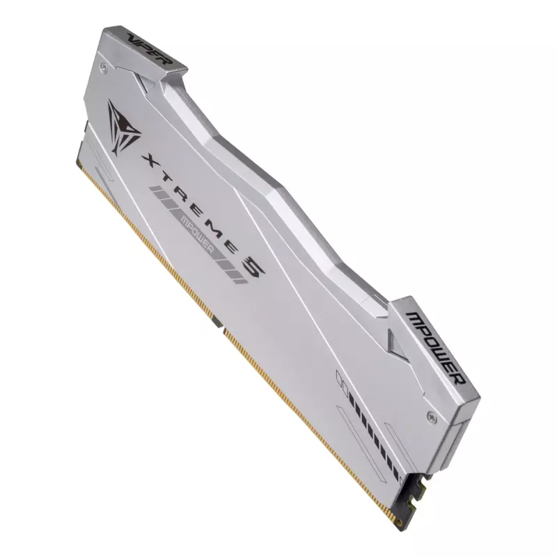 Patriot Viper Gaming RGB XTREME 5 DDR5-6000 RAM, CL 30, Intel XMP 3.0 - 48GB Dual-Kit, silber