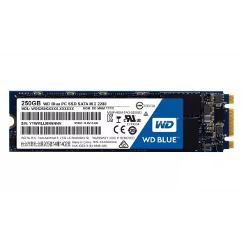 SSD Festplatte Western Digital 250GB 2,5 Zoll SATA3 WDS250G1B0B
