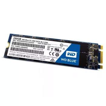 SSD Festplatte Western Digital 250GB 2,5 Zoll SATA3 WDS250G1B0B
