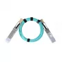 BlueOptics InfiniBand/Glasfaserkabel QSFP56–QSFP56 10 m, Aqua