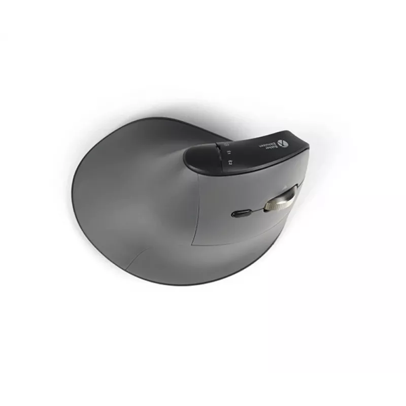 BakkerElkhuizen FastForward Pro Maus, Rechtshänder, Vertikales Design, Optisch, RF Wireless + Bluetooth + USB Typ-C, 5000 DPI, Schwarz, Grau