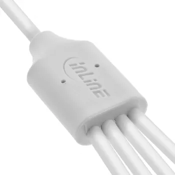 InLine 35142W USB-Kabel USB 2.0 2 m USB A 4 x USB-C Weiß