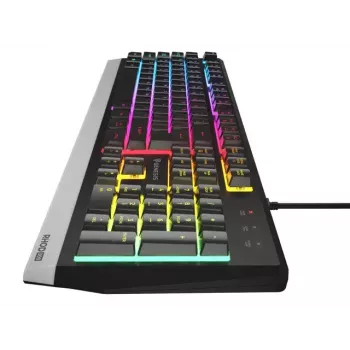 GENESIS NKG-1817 Gaming Tastatur USB QWERTY Full-size Kabelgebunden