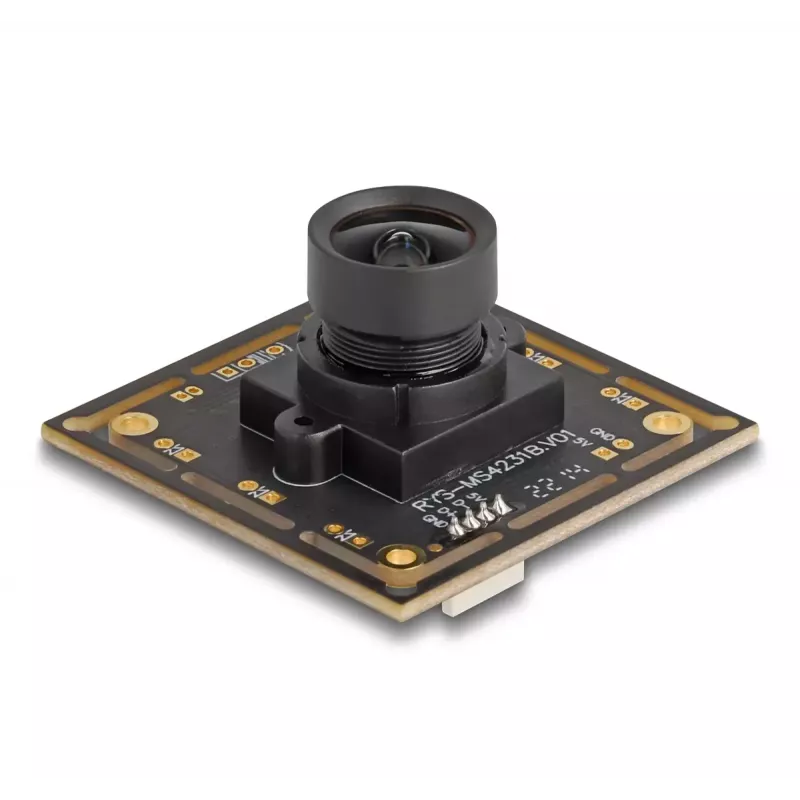 Webcam DeLOCK 12064 2.1 MP 1920 x 1080 USB 2.0 Schwarz