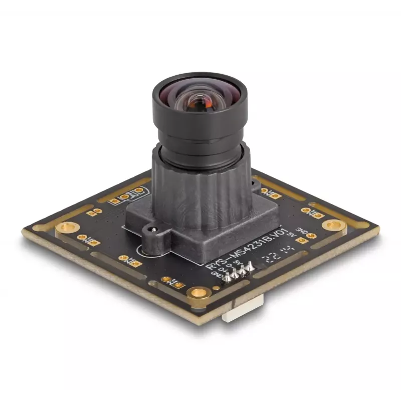 Webcam DeLOCK 12069 2.1 MP 1920 x 1080 Pixel USB 2.0 Schwarz