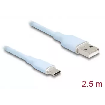 DeLOCK USB-Kabel USB 2.0 2,5 m USB A USB C Blau