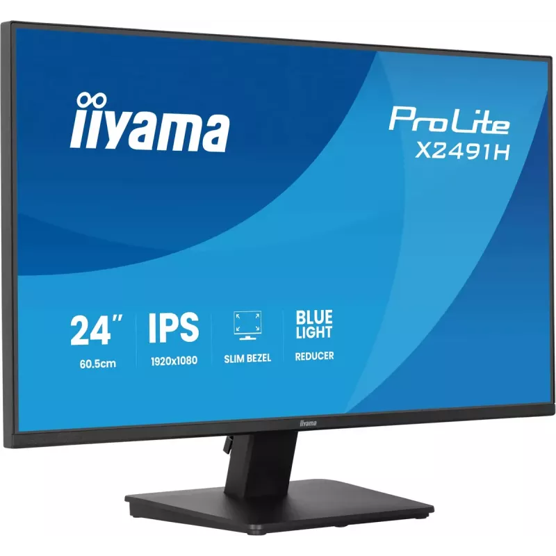Computermonitor IIYAMA ProLite X2491H-B1 60,5 cm (23,8 Zoll) IPS LCD Full HD 1920×1080 Mattschwarz, VESA