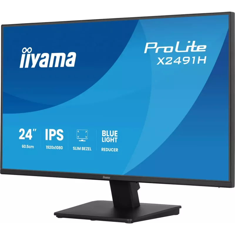 Computermonitor IIYAMA ProLite X2491H-B1 60,5 cm (23,8 Zoll) IPS LCD Full HD 1920×1080 Mattschwarz, VESA