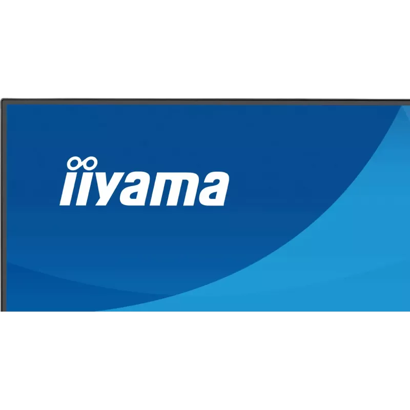 Computermonitor IIYAMA ProLite X2491H-B1 60,5 cm (23,8 Zoll) IPS LCD Full HD 1920×1080 Mattschwarz, VESA
