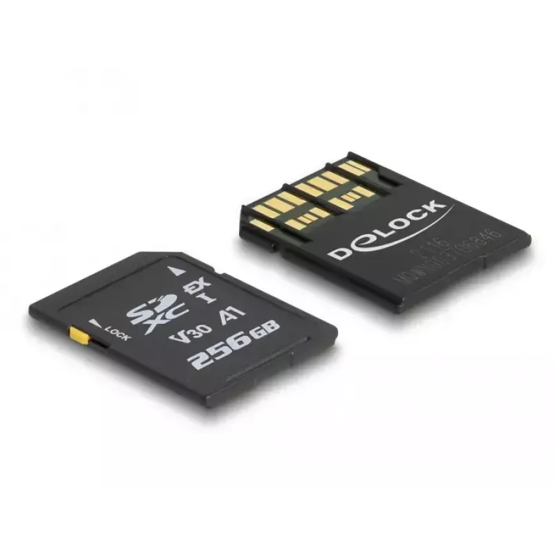 Speicherkarte DeLOCK 256 GB SD UHS-I 54091