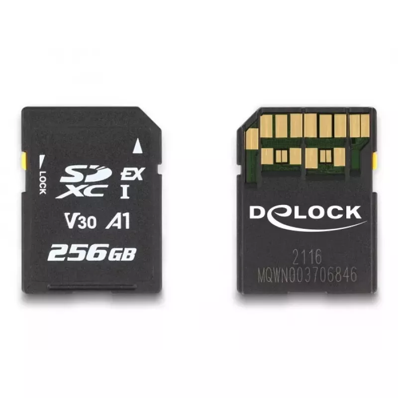 Speicherkarte DeLOCK 256 GB SD UHS-I 54091