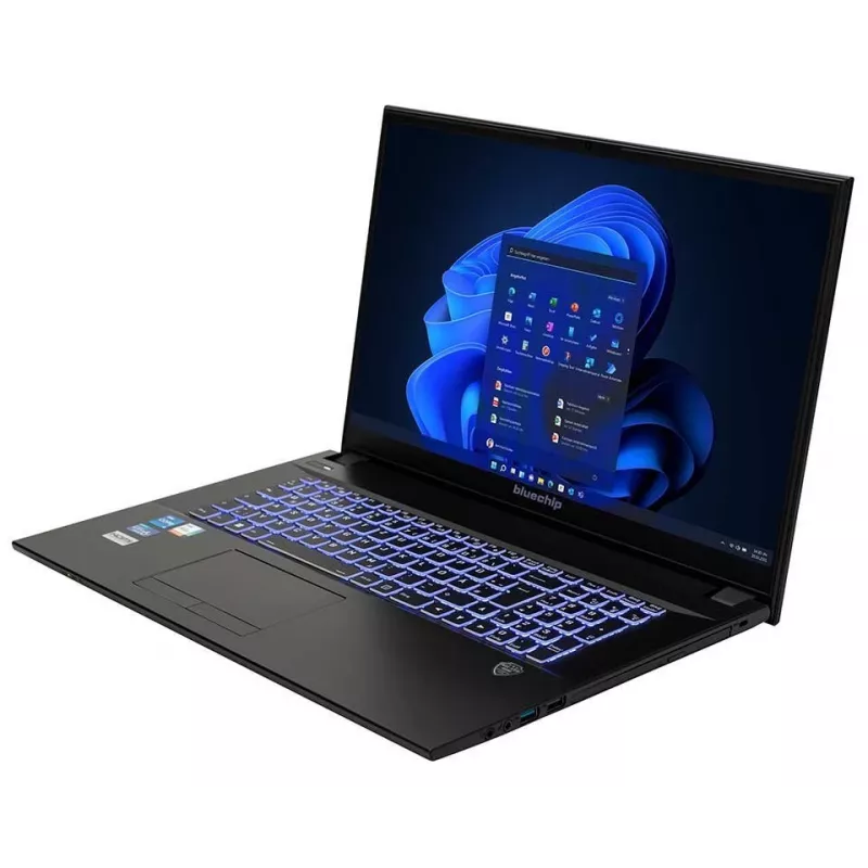 bluechip TRAVELline B17W27 Intel® Core™ i5-1335U Prozessor / bis zu 4,60 GHz, Windows 11 Pro, 43,9 cm (17,3 inch) entspiegeltes IPS-Panel, 1920 x 1080, 16 GB DDR4, 500 GB NVMe SSD, WLAN 802.11 ax, Bluetooth 5.3, Gigabit Ethernet, Intel® Iris® Xe Grafik, DVD±RW, Militärstandard MIL-STD 810G