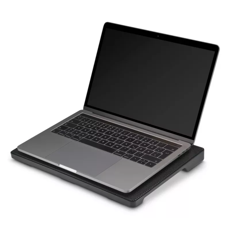 Hama schlank Laptop-Kühlpad 39,6 cm (15,6 Zoll) Schwarz