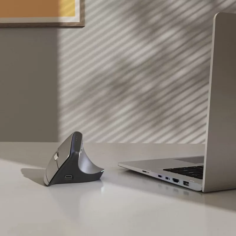 Hama EWM-700R Maus Büro Rechtshändig RF Wireless + Bluetooth Optisch 2400 DPI