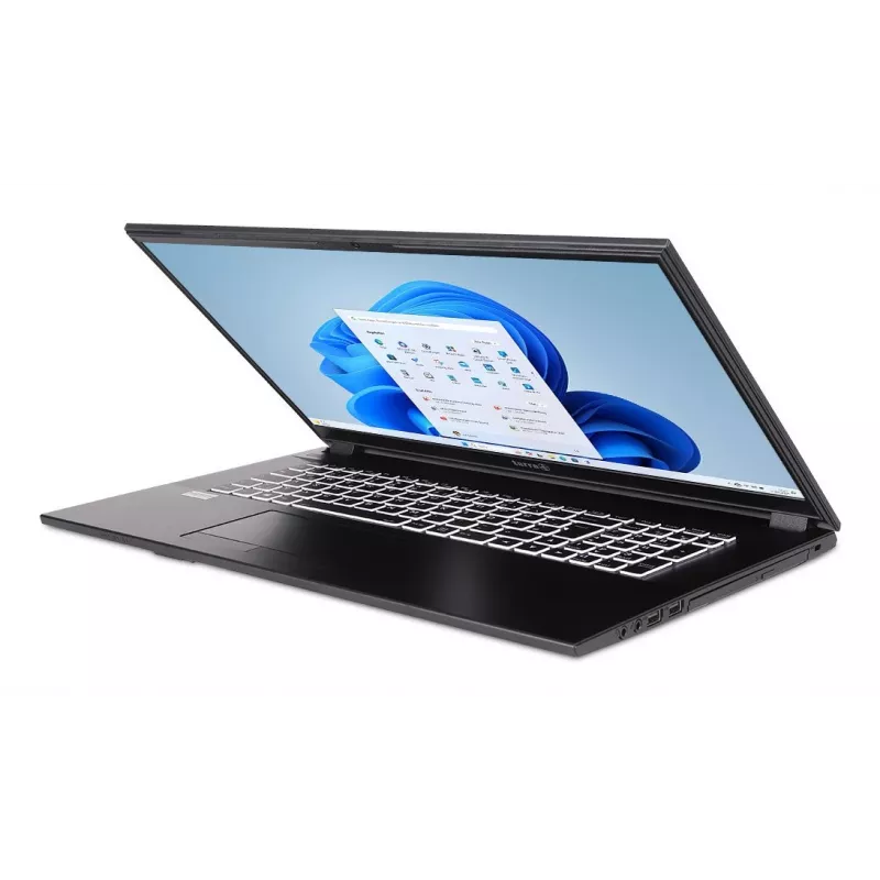 TERRA 1220855 Laptop Intel® Core™ i5 i5-1334U 43,9 cm (17,3 Zoll) Full HD 16 GB DDR4-SDRAM 500 GB SSD Wi-Fi 6 (802.11ax) Windows 11 Home Deutsch Grau