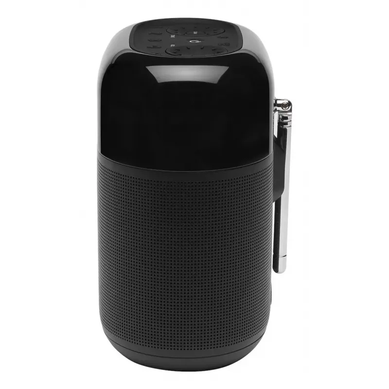 Tragbares Radio JBL Tuner XL SCHWARZ Digital DAB 10W