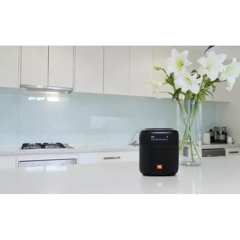 Tragbares Radio JBL Tuner XL SCHWARZ Digital DAB 10W