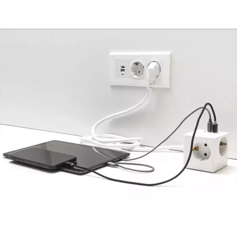DeLOCK 11497 Steckdosenleiste CEE 7/3 + USB Weiß 250V 16A