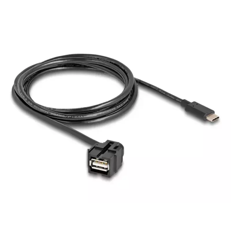 DeLOCK Keystone Module USB 2.0 A Buchse auf USB Type-C Stecker 250° 1,5m