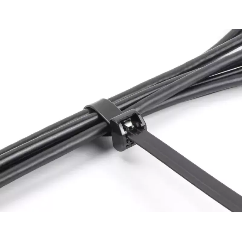DeLOCK Kabelbinder mit Metallzunge, 457 x 12,7 mm, Schwarz, 10 Stück